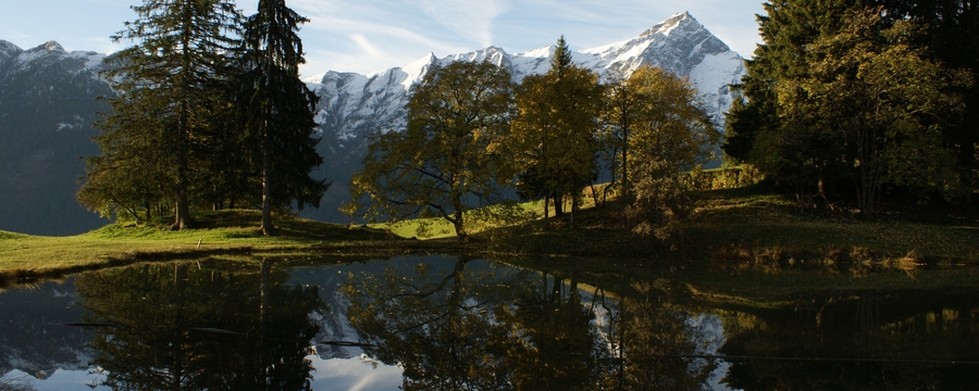 see zum beverin